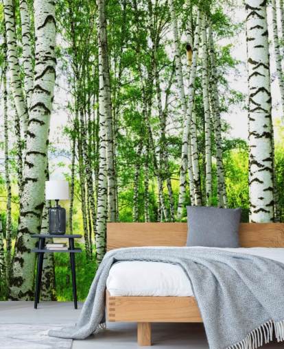 White Birch Trees and Green Leaves Wallpaper