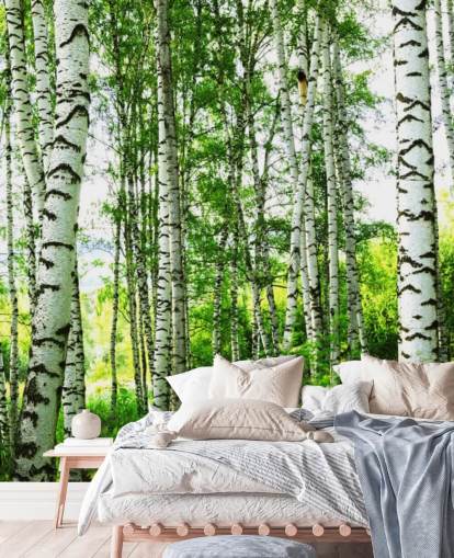 White Birch Trees and Green Leaves Wallpaper
