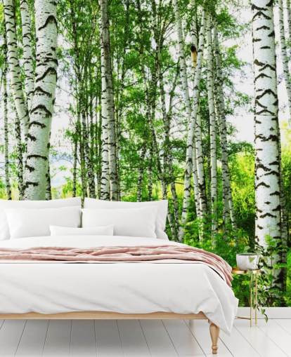 Papel de parede de bétula branca e folhas verdes