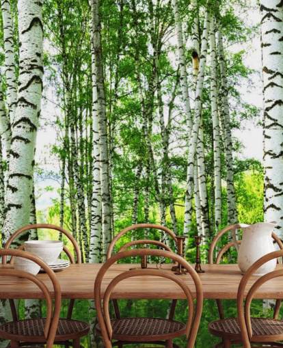 Witte berkenbomen en groene bladeren behang