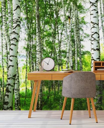 Witte berkenbomen en groene bladeren behang