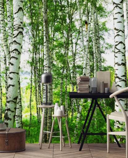White Birch Trees and Green Leaves Wallpaper White Birch Trees and Green Leaves Wallpaper