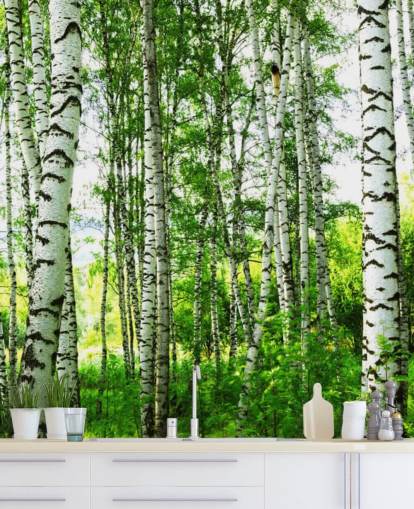 Carta da parati con betulle bianche e foglie verdi Carta da parati con betulle bianche e foglie verdi