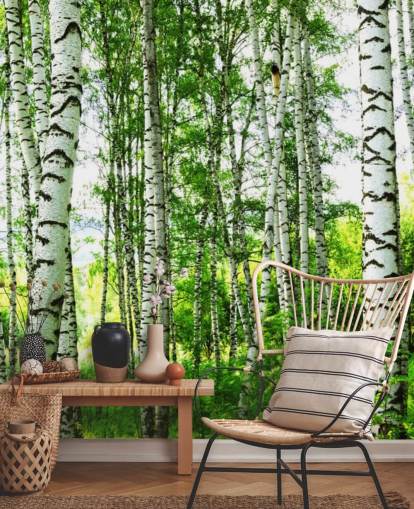 Witte berkenbomen en groene bladeren behang Witte berkenbomen en groene bladeren behang