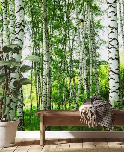 Witte berkenbomen en groene bladeren behang