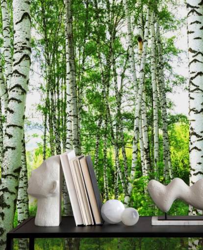 Papel de parede de bétula branca e folhas verdes