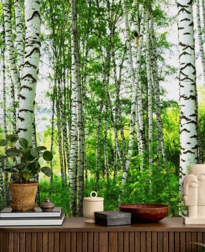 White Birch Trees and Green Leaves Wallpaper