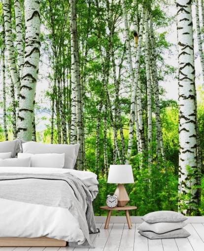 Witte berkenbomen en groene bladeren behang