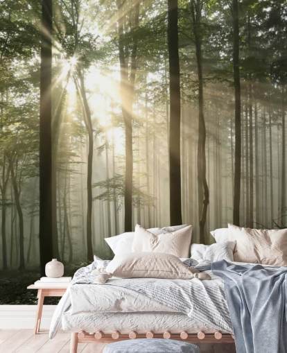 Fondo de pantalla Amanecer en el bosque Fondo de pantalla Amanecer en el bosque