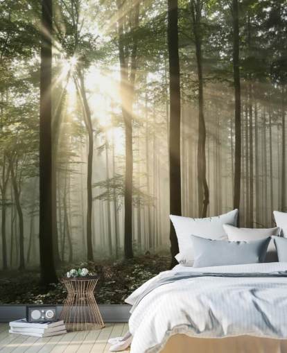 Auringonnousu metsässä Taustakuva Auringonnousu metsässä Taustakuva