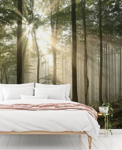 Sunrise in the Forest Wallpaper