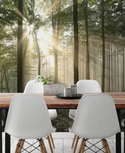 Soloppgang i skogen tapet