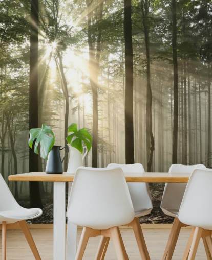 Fondo de pantalla Amanecer en el bosque