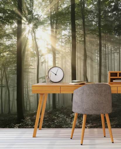 Sunrise in the Forest Wallpaper