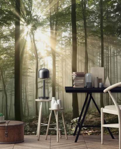 Sonnenaufgang im Wald Wallpaper