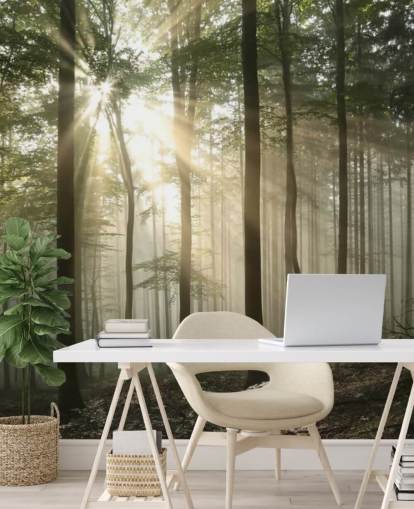 Sunrise in the Forest Wallpaper