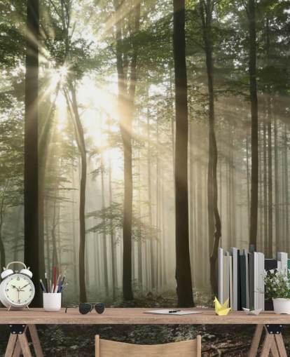 Sunrise in the Forest Wallpaper
