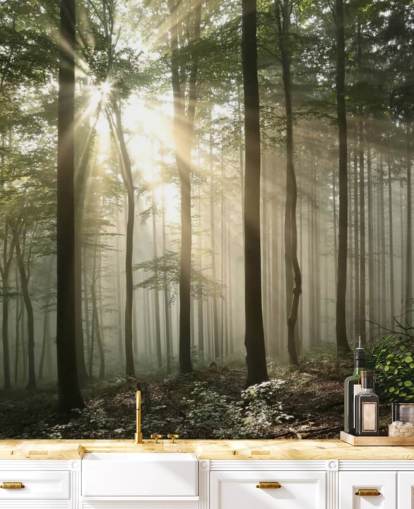 Sunrise in the Forest Wallpaper