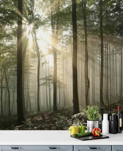 Carta da Parati Alba nella Foresta