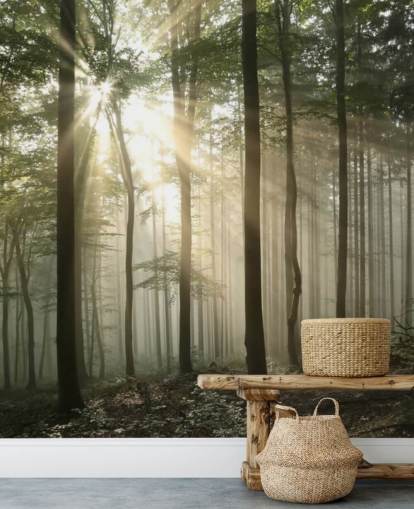 Sunrise in the Forest Wallpaper