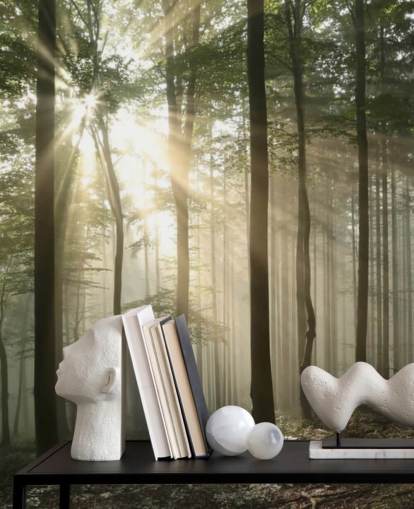 Sunrise in the Forest Wallpaper