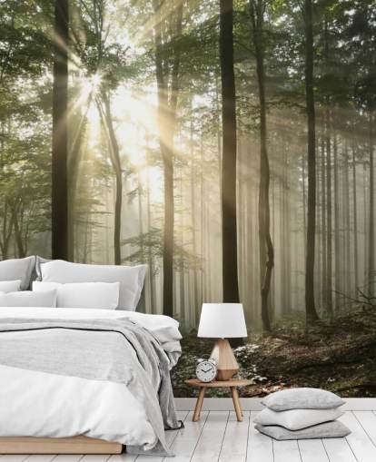 Fondo de pantalla Amanecer en el bosque