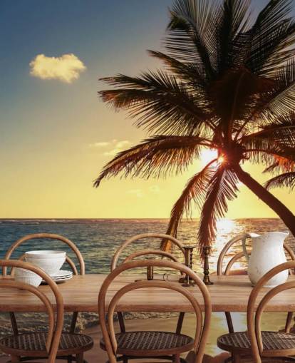 Sunset Palm Leaf Baggrund