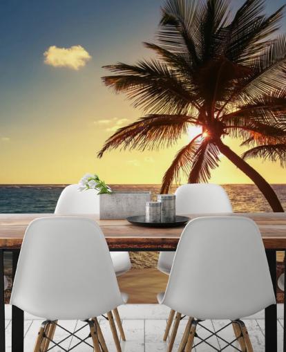 Sunset Palm Leaf Baggrund