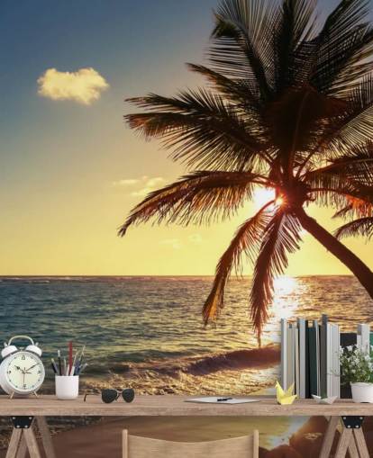 Sunset Palm Leaf Baggrund