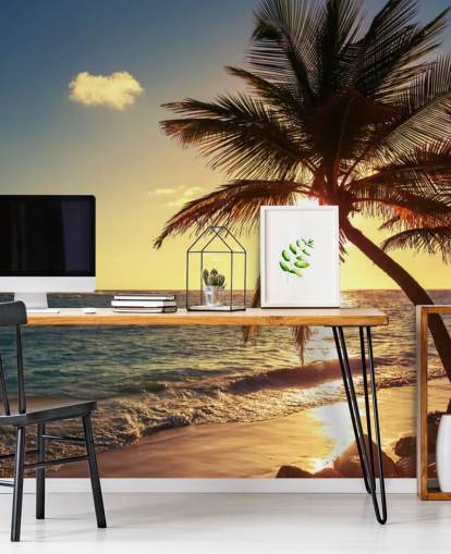 Sonnenuntergang Palmblatt Wallpaper