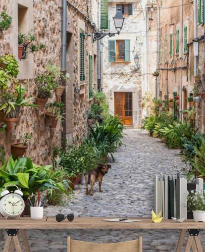 Rua Valldemossa, Maiorca Valldemossa Street Mallorca Wallpaper 