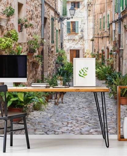 Valldemossa Street, Maiorca Valldemossa Street Mallorca Wallpaper 