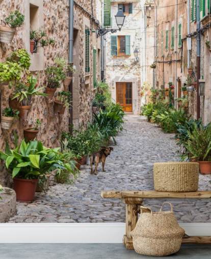 Valldemossa Street, Mallorca Valldemossa Street Mallorca Wallpaper 