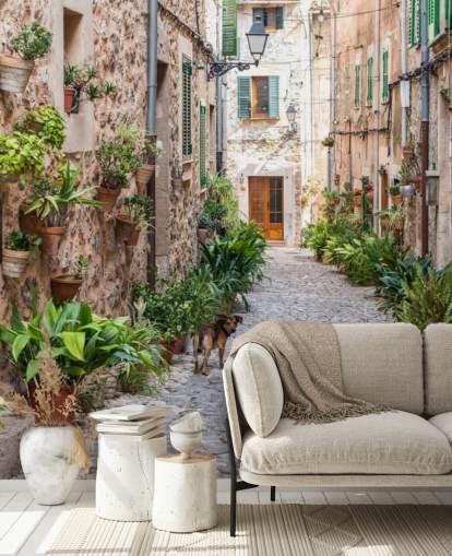 Rua Valldemossa, Maiorca Valldemossa Street Mallorca Wallpaper 