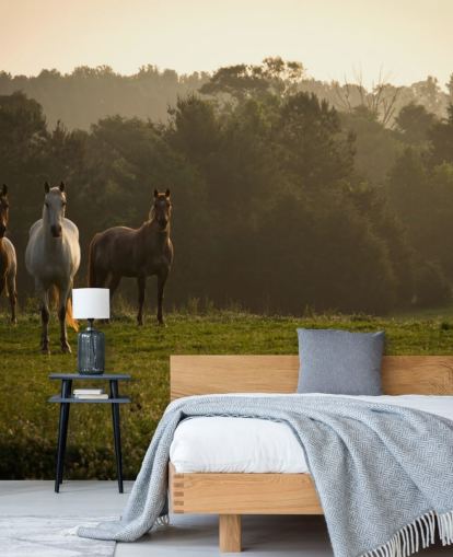 Three Wild Horses in Field Wallpaper Three Wild Horses in Field Wallpaper