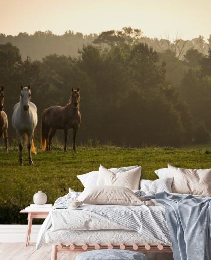 Drie wilde paarden in veld behang