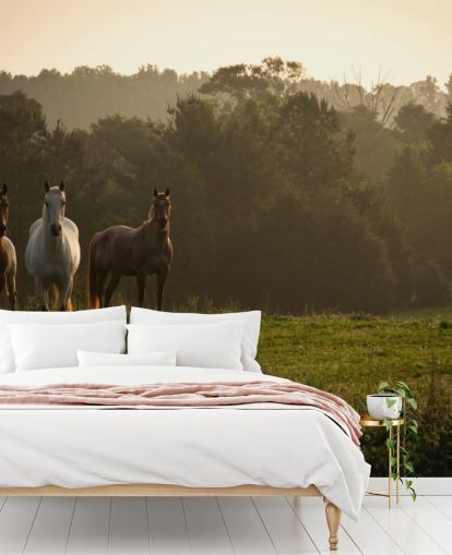 Fondo de pantalla de tres caballos salvajes en campo Fondo de pantalla de tres caballos salvajes en campo