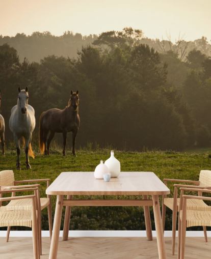 Fond d'écran Trois chevaux sauvages sur le terrain