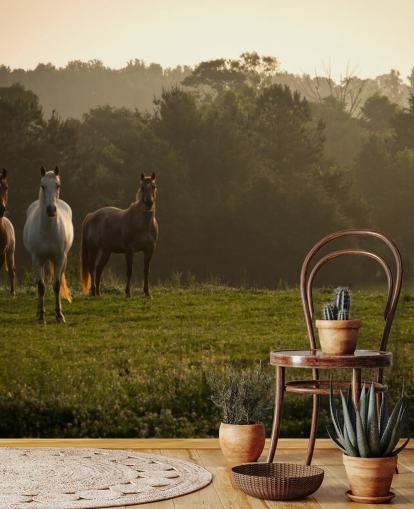 Fondo de pantalla de tres caballos salvajes en campo