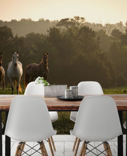 Three Wild Horses in Field Wallpaper