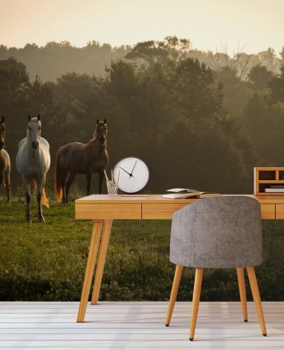 Drei Wildpferde im Feld Wallpaper