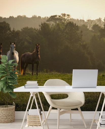 Drei Wildpferde im Feld Wallpaper