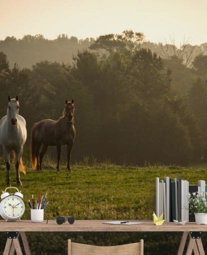 Three Wild Horses in Field Wallpaper
