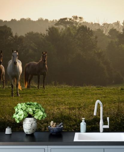 Three Wild Horses in Field Wallpaper Three Wild Horses in Field Wallpaper