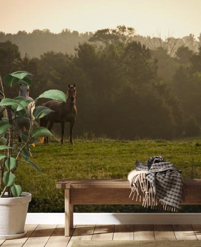 Sfondo Tre Cavalli Selvaggi in Campo