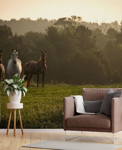 Drie wilde paarden in veld behang