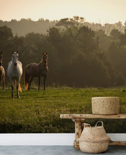 Three Wild Horses in Field Wallpaper