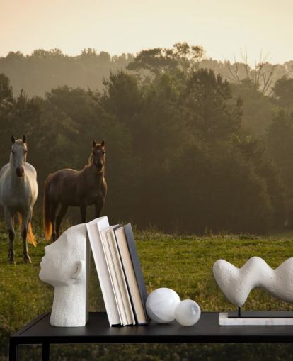 Fondo de pantalla de tres caballos salvajes en campo
