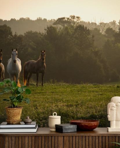 Fondo de pantalla de tres caballos salvajes en campo