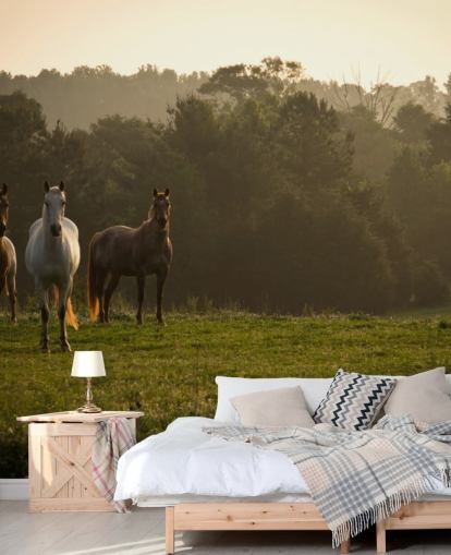 Kolme villiä hevosta Field Taustakuva